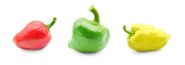 istock Colorful sweet pepper isolated on white 1434740481