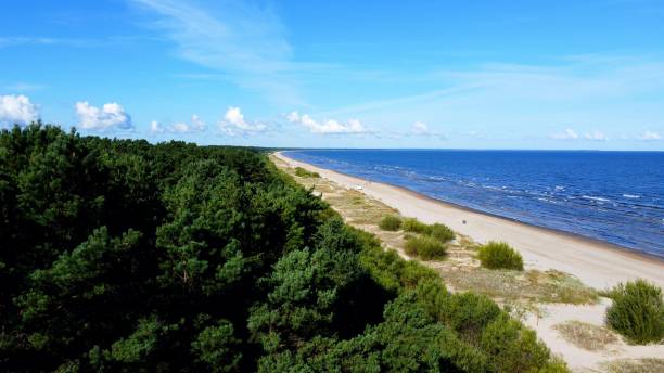 istock Sandy beach shore with a lush forest against the blue bright sky 1434745303