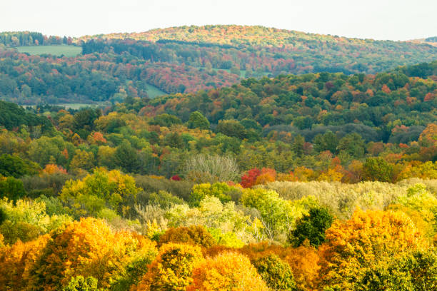 Autumn Morning on Far Away Hill