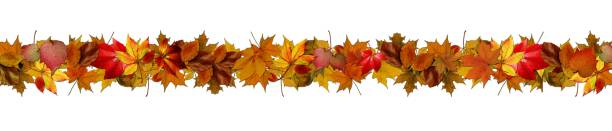 istock Autumn banner from colorful leaves for websites and decor 1434745574