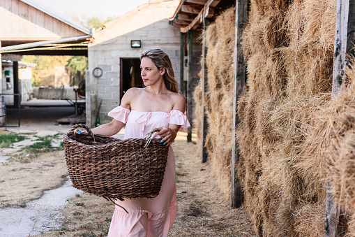 Portrait of young woman in summer dress carrying a basket on the farm during summer day