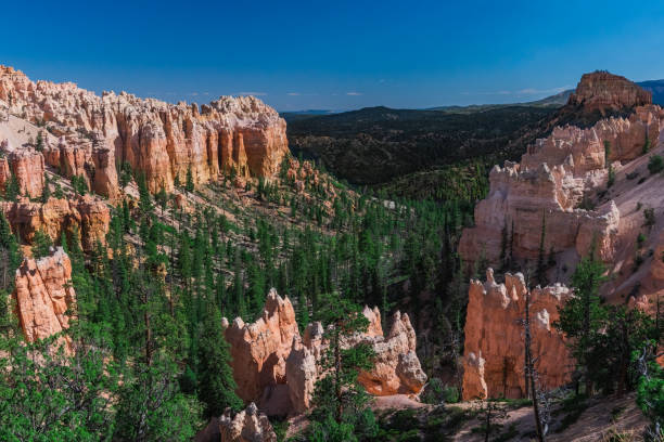 istock Bryce Canyon, montage et paysage 1434752955
