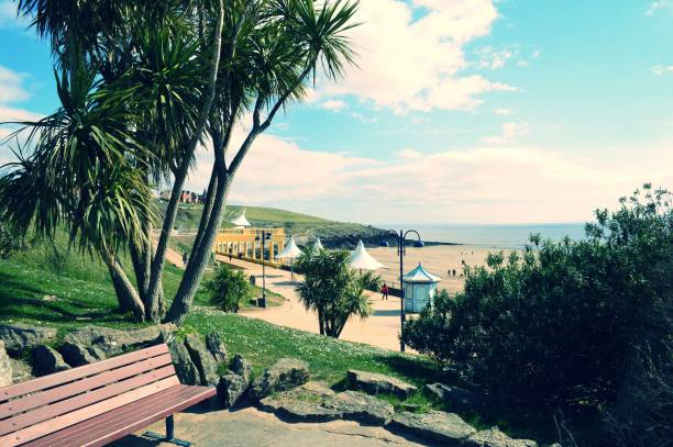 The seafront with a bench and palm trees at Whitmore Bay, Barry Island