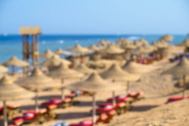 Beach with sunbeds, straw umbrellas and yellow sand. Defocused background.