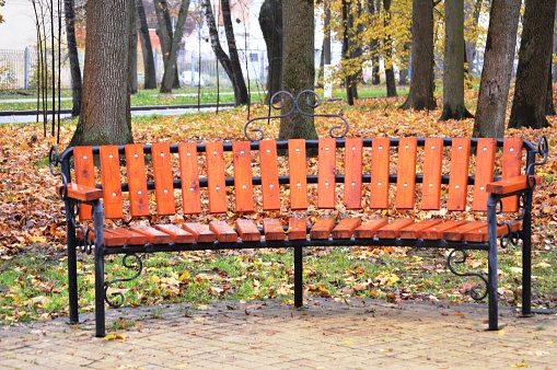 Autumn day in a park with leafs on a bench