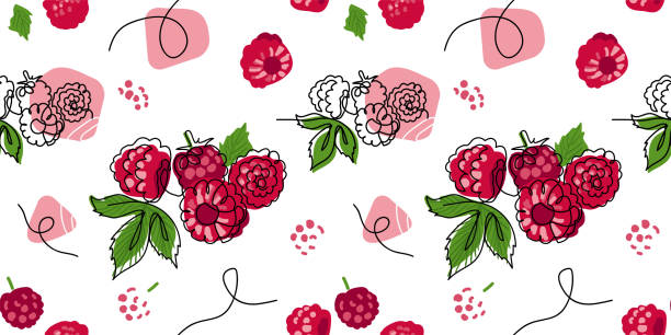 ilustrações de stock, clip art, desenhos animados e ícones de raspberry vector pattern. one continuous line art drawing of raspberry pattern - raspberry fruit pattern berry fruit