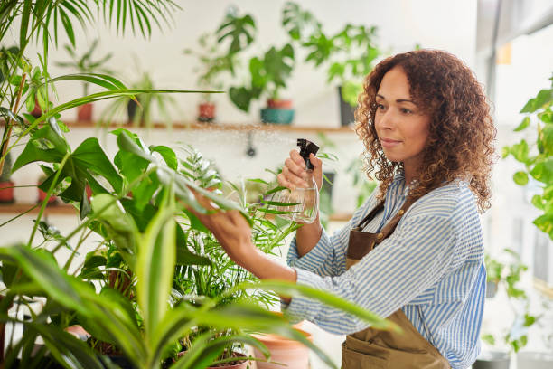 istock houseplant shop maintenance 1434757083