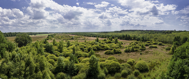 Overzicht van het landschap bij Westerbork in de Nederlandse provincie Drenthe. Vroeger landbouw maar nu weer teruggegeven aan de natuur.