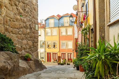 Traditional narrow street with colorful houses and plants of Porto old town.