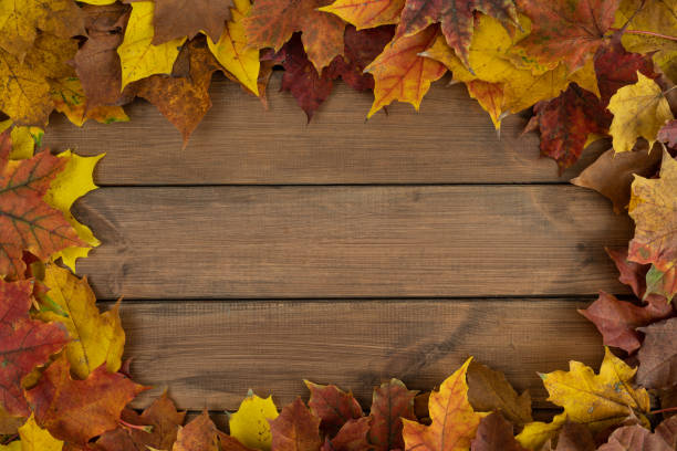 istock Autumn leaves frame, fall flat lay composition with copy space on wood. 1434763215