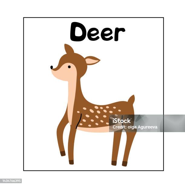 Animal Card Deer For Kids Educational Preschool Cards For Learning Animals  Learn Animal Name For Kids Stock Illustration - Download Image Now - iStock