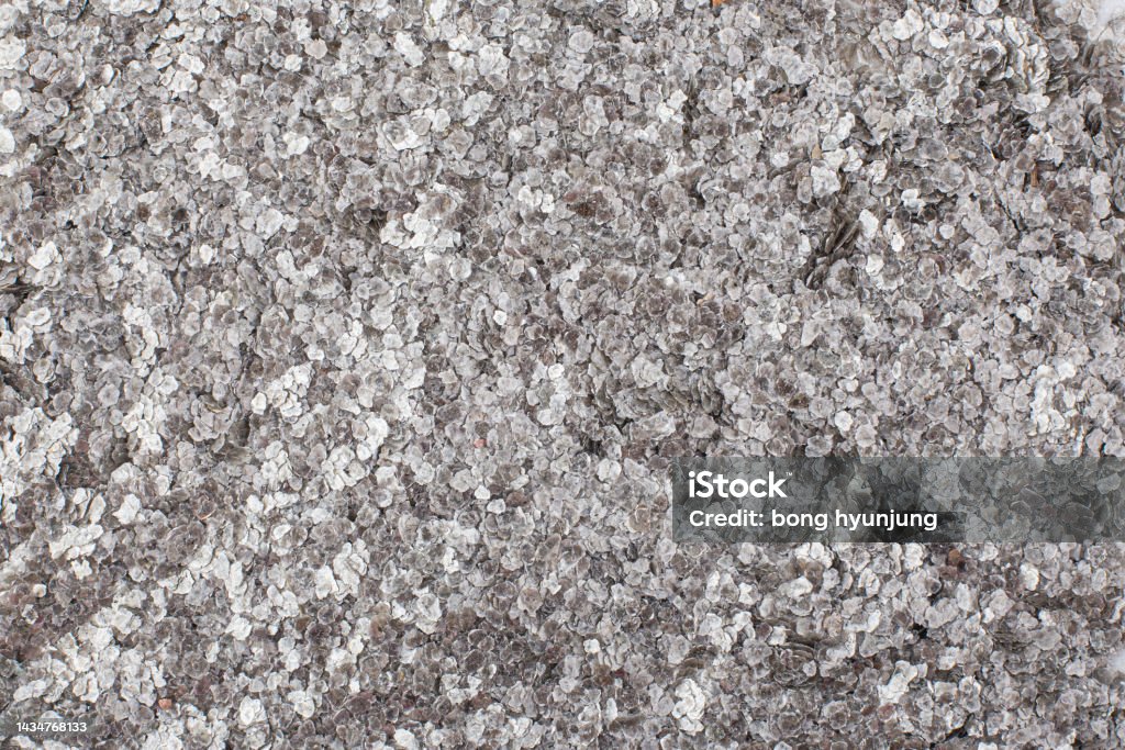 Silver mica mineral or powder silver texture Silver mica or powder silver texture Textured Stock Photo