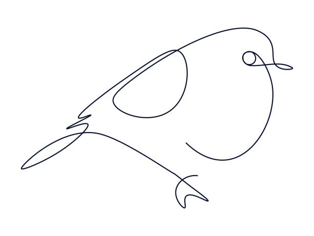 Drawing of bullfinch with single continuous line. Abstract bird with one line. Simple minimalistic illustration. Isolated vector on white background. Drawing of bullfinch with single continuous line. Abstract bird with one line. Simple minimalistic illustration. Isolated vector on white background. continuous line drawing bird stock illustrations