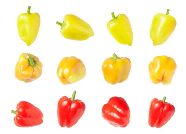Set of ripe bell peppers on white background - vegetables for collage - red, yellow, green vegetables for advertising design