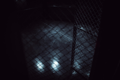 Fighting cage in dark gym.