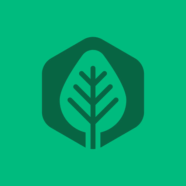 istock Nature logo design concept.  Minimal icon of abstract tree leaf. Geometric element. Modern vector illustration. Park emblem sign symbol mark. 1434772106