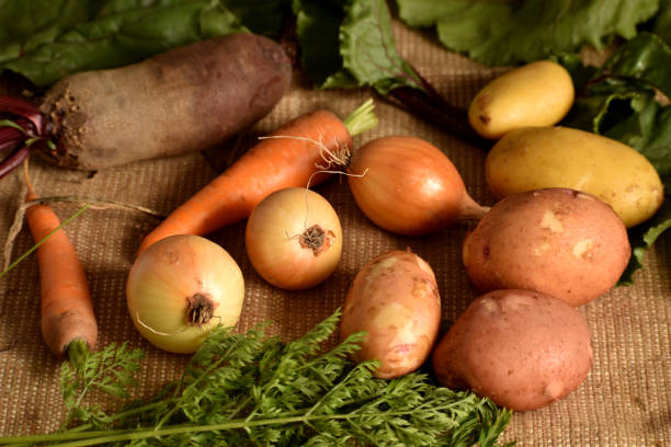 istock Harvest vegetables, potatoes, onions, carrots and beets. 1434773261