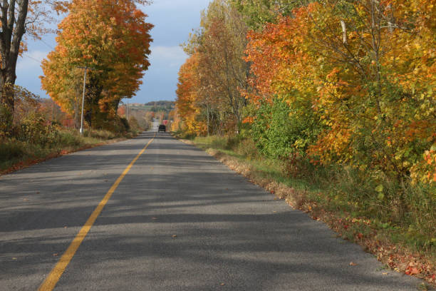 istock ATV ride in the fall in Ontario on trails 1434774962