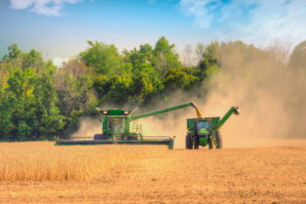 урожай зерна в индиане - tractor agriculture field harvesting стоковые фото и изображения