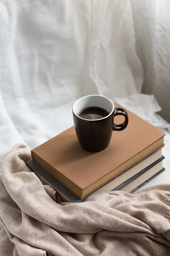A coffee cup on a few books in a cozy space. Concept of indoor autumn activities.