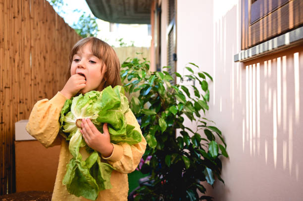 bambino con verdure.  la bambina carina mangia insalata in un patio. - vegetable child growth people foto e immagini stock