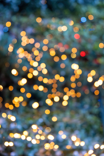 Christmas tree light bokeh background. Holiday blur festive decoration