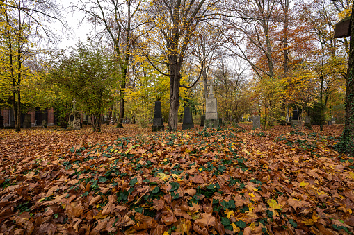 Munich, Germany - Nov 01, 2021: View of famous Old North Cemetery of Munich, Germany with historic gravestones. Funerals have not been held here since 1944. Instead, the cemetery is used as a park.