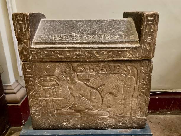 primo piano del sarcofago per una mummia di gatto, egitto - stone coffin foto e immagini stock