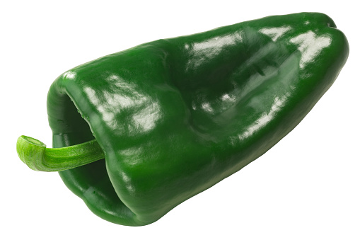 Ancho / Poblano chile pepper isolated, immature, fresh pod. Capsicum annuum fruit