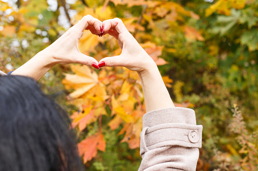 A woman with red manicure fingers making a heart shape from hands on a autumn background