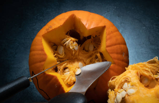 istock Cleaning out Halloween pumpkin for carving, removing guts from inside. 1434790701