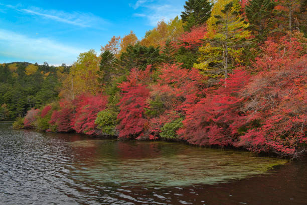 istock Shirakoma Pond in Nagano Japan 1434792075