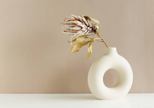 istock Dry Protea flower in modern ceramic vase on beige table .Copy space.Minimal Scandinavian neutral trendy colors interior decoration . 1434792106