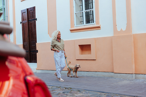 A senior stylish Caucasian woman is walking down the street with her dog on a leash in a vintage city.