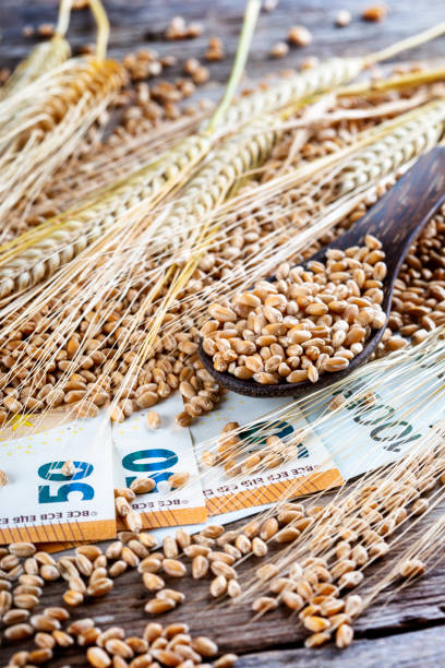 istock Concept of rising costs for wheat 1434792327