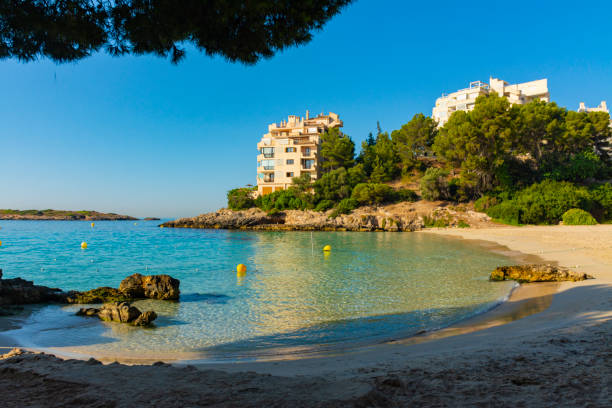 praia de ses illetes e pinheiros - illetes - fotografias e filmes do acervo