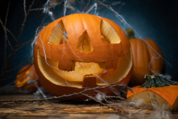 istock Halloween carved pumpkin lantern, covered with spider web. 1434792542