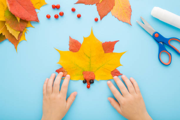 istock Little child hands creating hedgehog shape from colorful maple leaves on light blue table background. Pastel color. Toddler development. Making autumn decorations. Closeup. Top down view. 1434794264