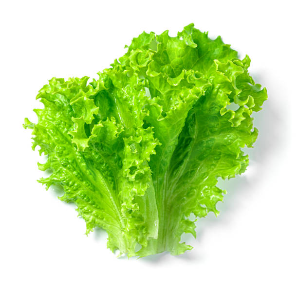 istock Lettuce leaves isolated on a white background. 1434797366