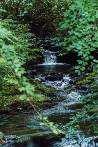 istock Torc Waterfall - Killarney National Park, co Kerry, Irelannd 1434799614