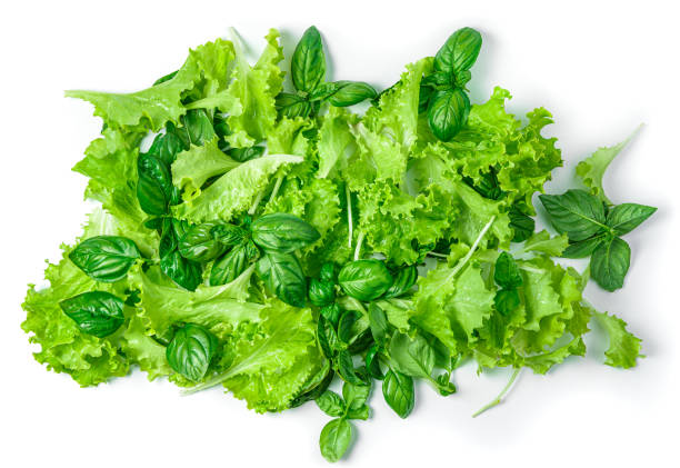 istock Lettuce and basil leaves isolated on a white background. 1434799691