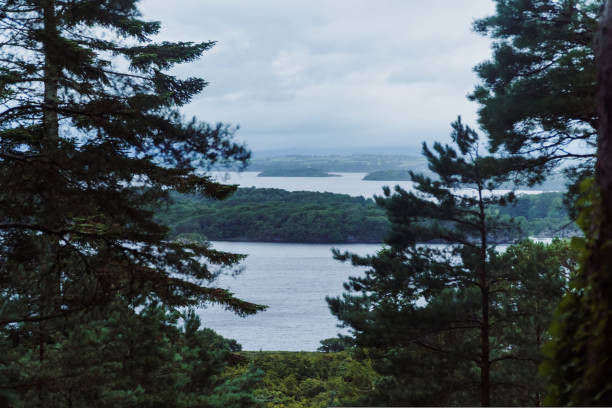 torc waterfall - killarney national park, co kerry, irelannd - ringside imagens e fotografias de stock