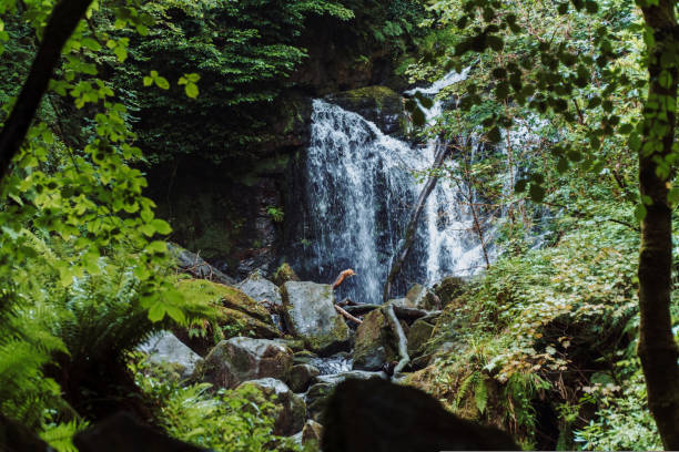 istock Torc Waterfall - Killarney National Park, co Kerry, Irelannd 1434800811