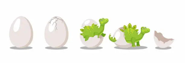 Vector illustration of Stages of hatching dinosaur from egg cartoon illustration set