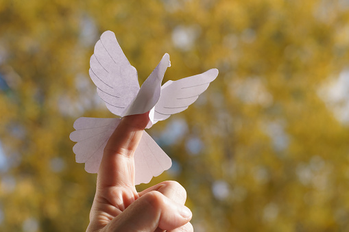 Photography of a paper dove. Human hand. The concept of the peace. Golden lush foliage as background. Close up photography