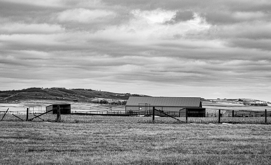 A grayscale shot of a field under a cloudy sky in a countryside