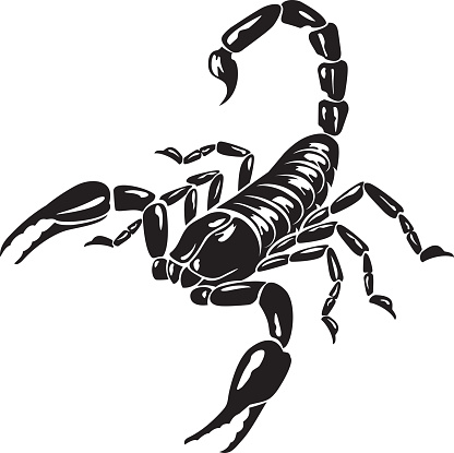 Scorpion Animal Black and White Vector Illustration