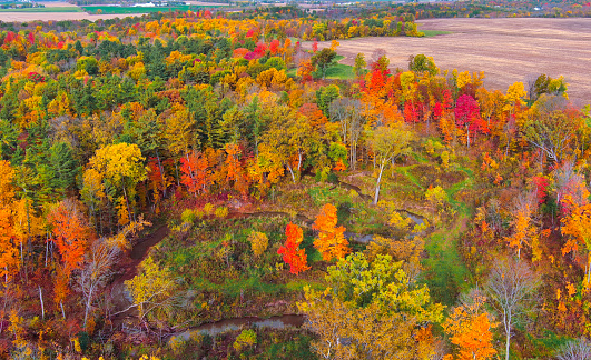 Amazing Fall colors, aerial view of rural Wisconsin landscape.