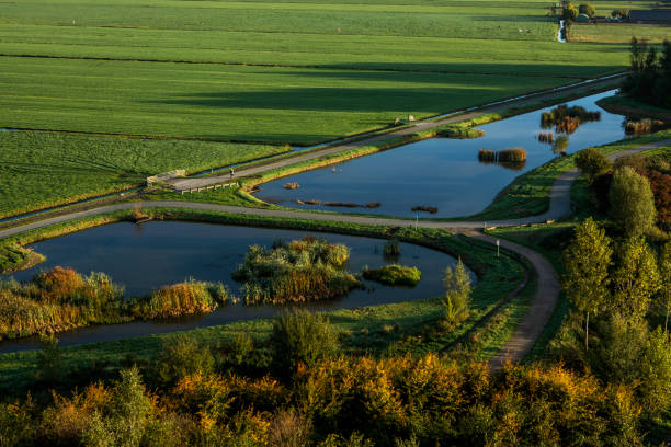 Dutch countryside in the Randstad