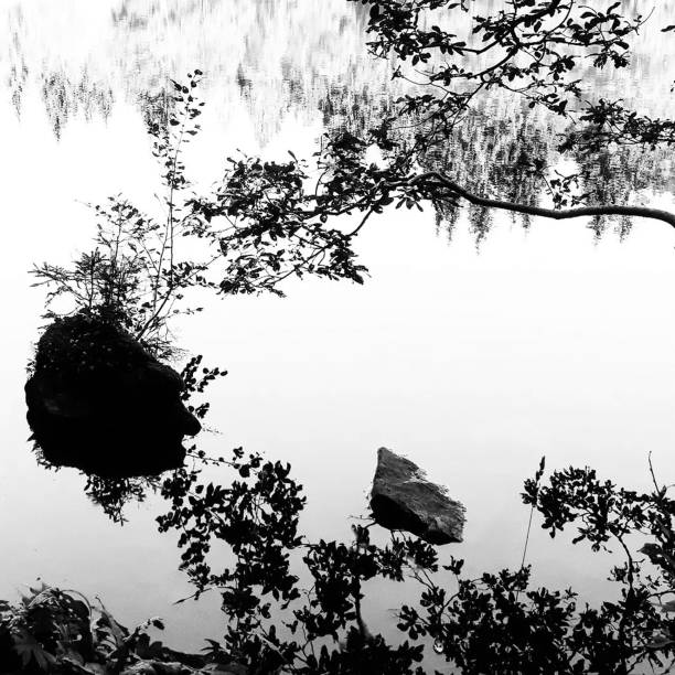 Elements on the water Mountain lake pen and ink stock pictures, royalty-free photos & images